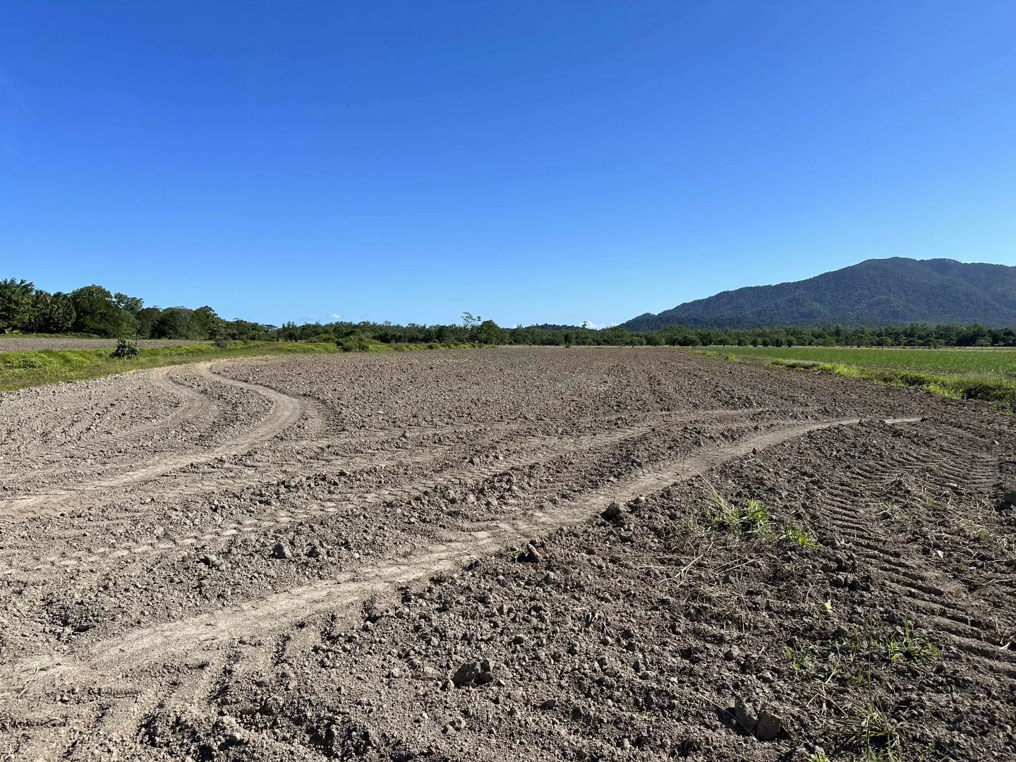 Additional image 27 of East Feluga QLD 4854