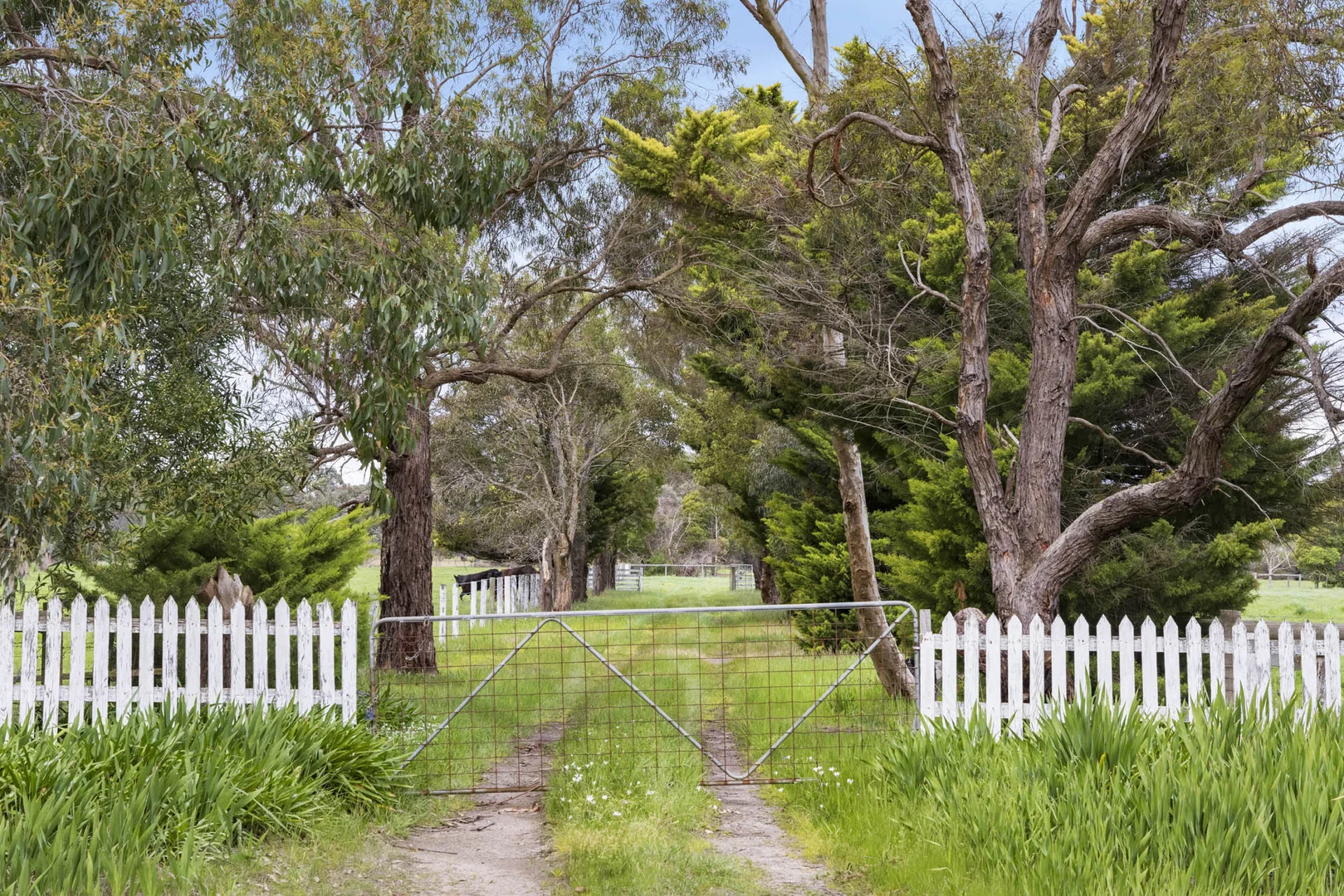 Additional image 4 of 1 Daniel Drive, Moorooduc VIC 3933