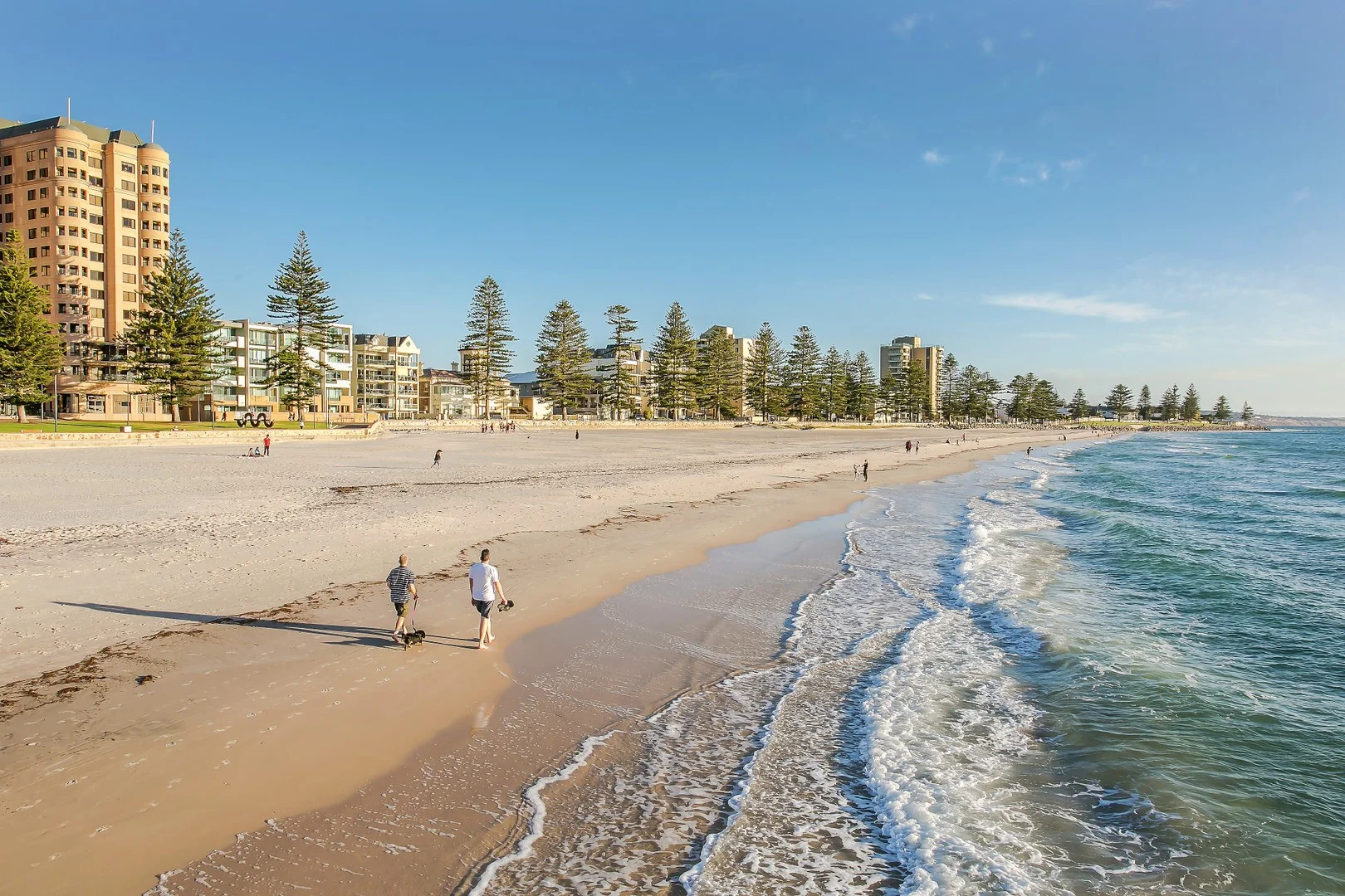 Additional image 2 of 28 Harvey Avenue, Netley SA 5037