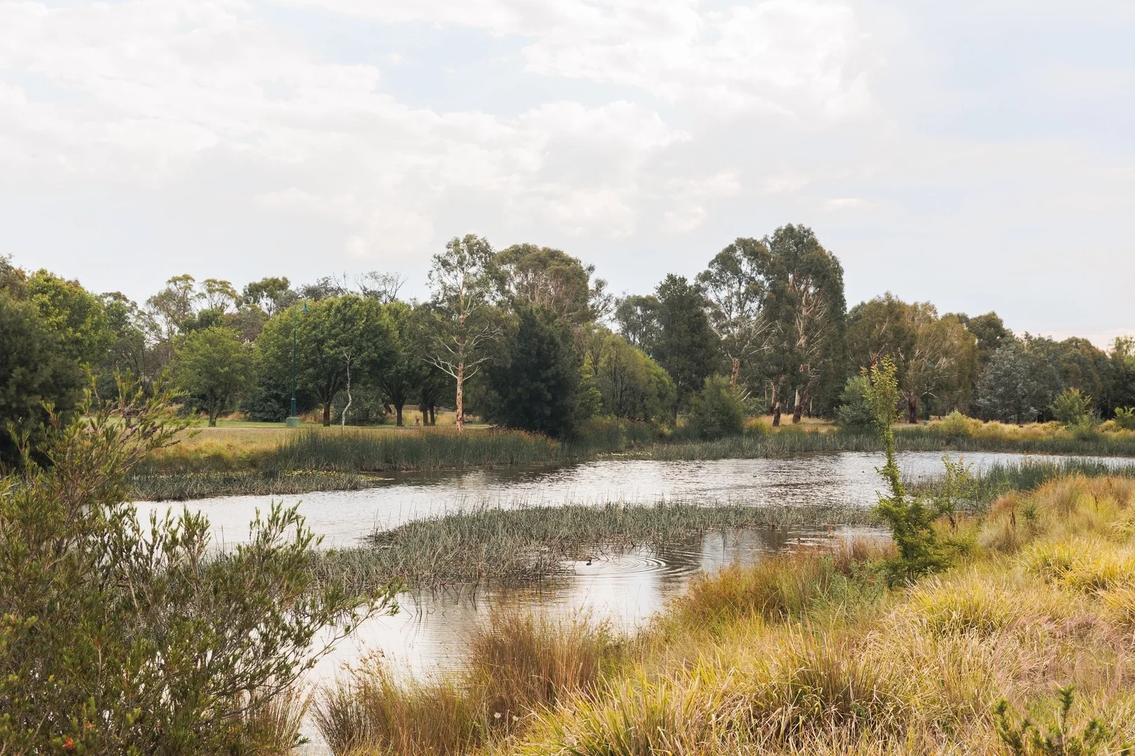 Additional image 35 of 4 McCusker Drive, Bungendore NSW 2621