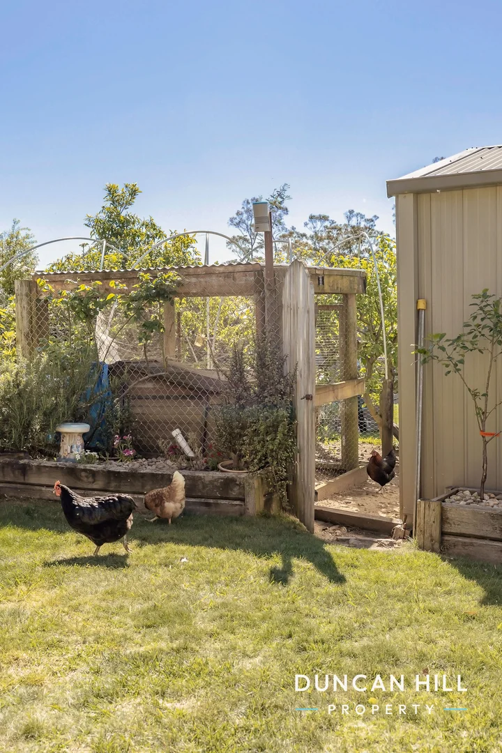 Additional image 14 of 5 Carlton Street, Willow Vale NSW 2575