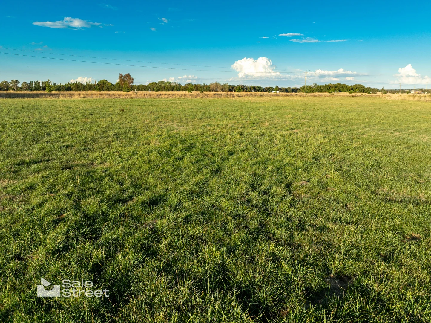 Additional image 28 of 37 Carcoar Street, Spring Hill NSW 2800