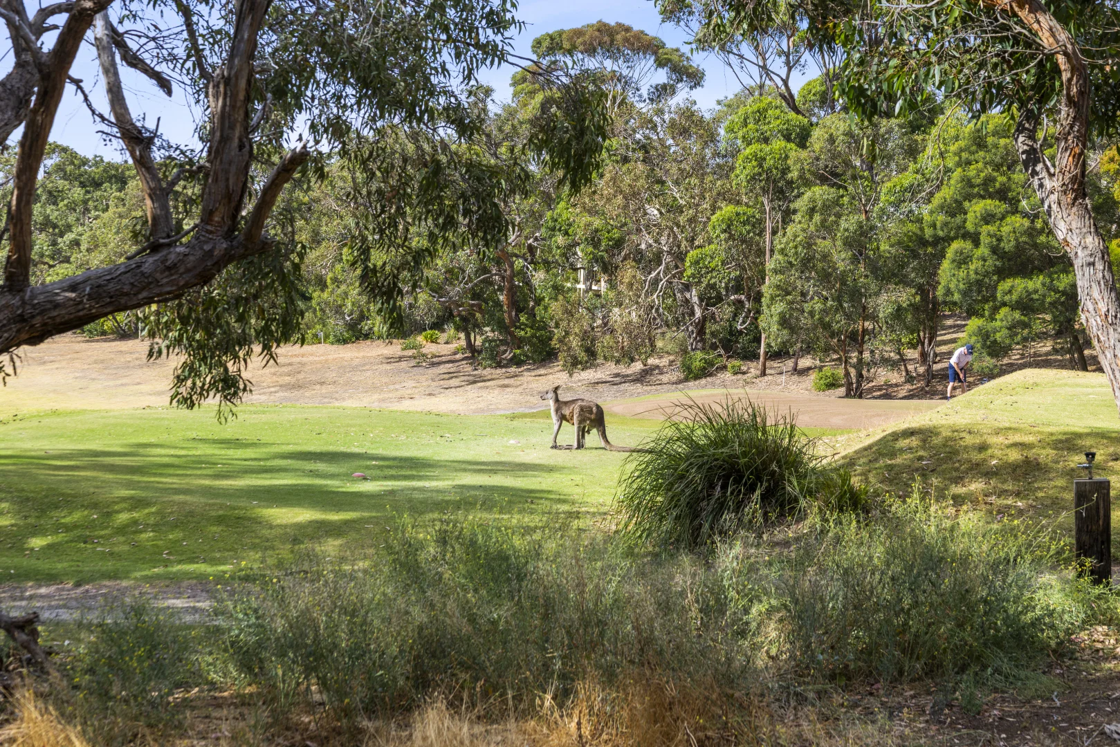 Additional image 4 of 1D McMahon Avenue, Anglesea VIC 3230