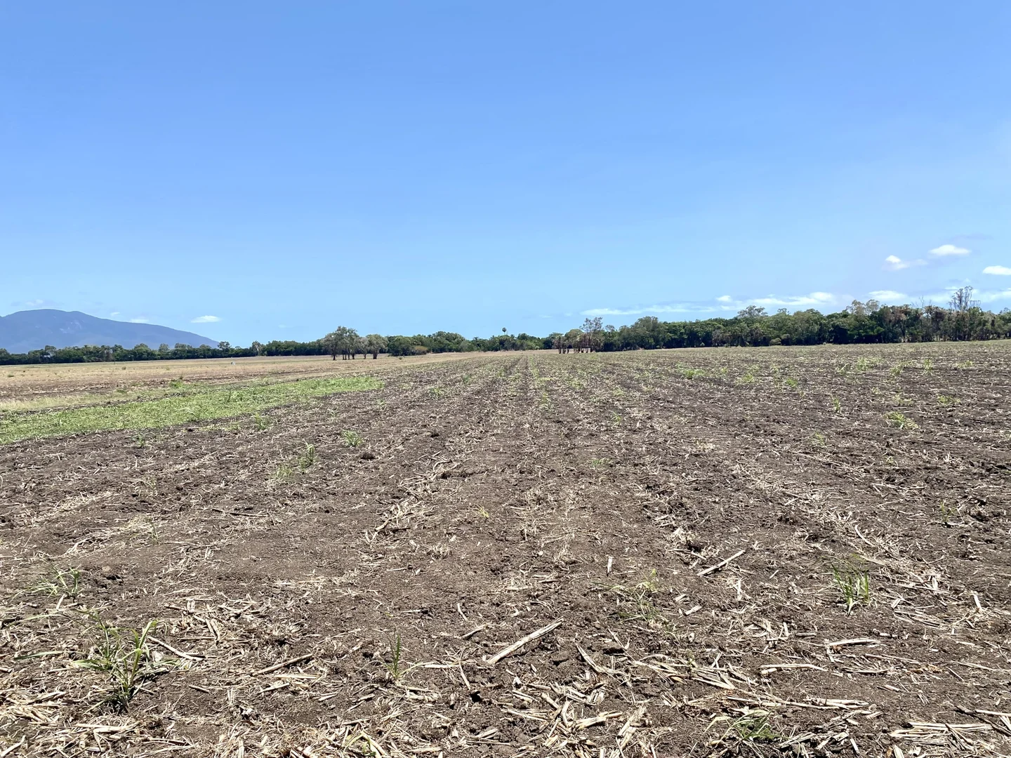 Additional image 22 of 312 Smith Road, Shirbourne QLD 4809