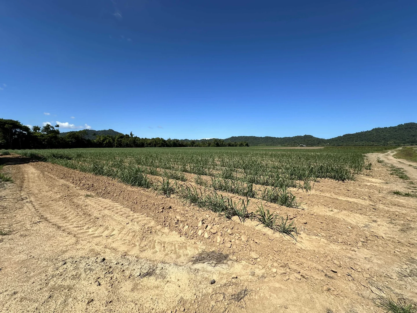 Additional image 16 of East Feluga QLD 4854