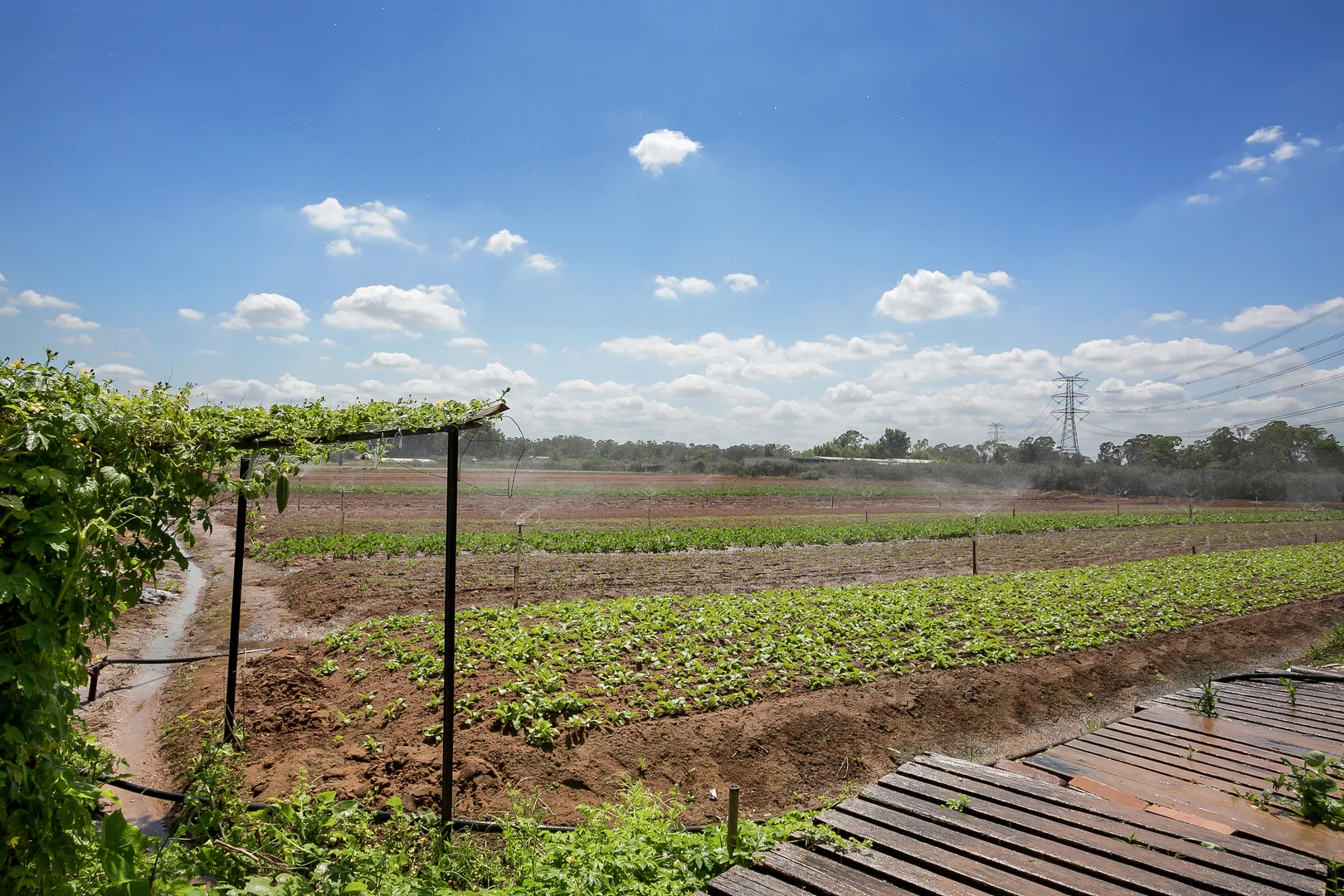 Additional image 12 of 150 Sixth Avenue, Llandilo NSW 2747