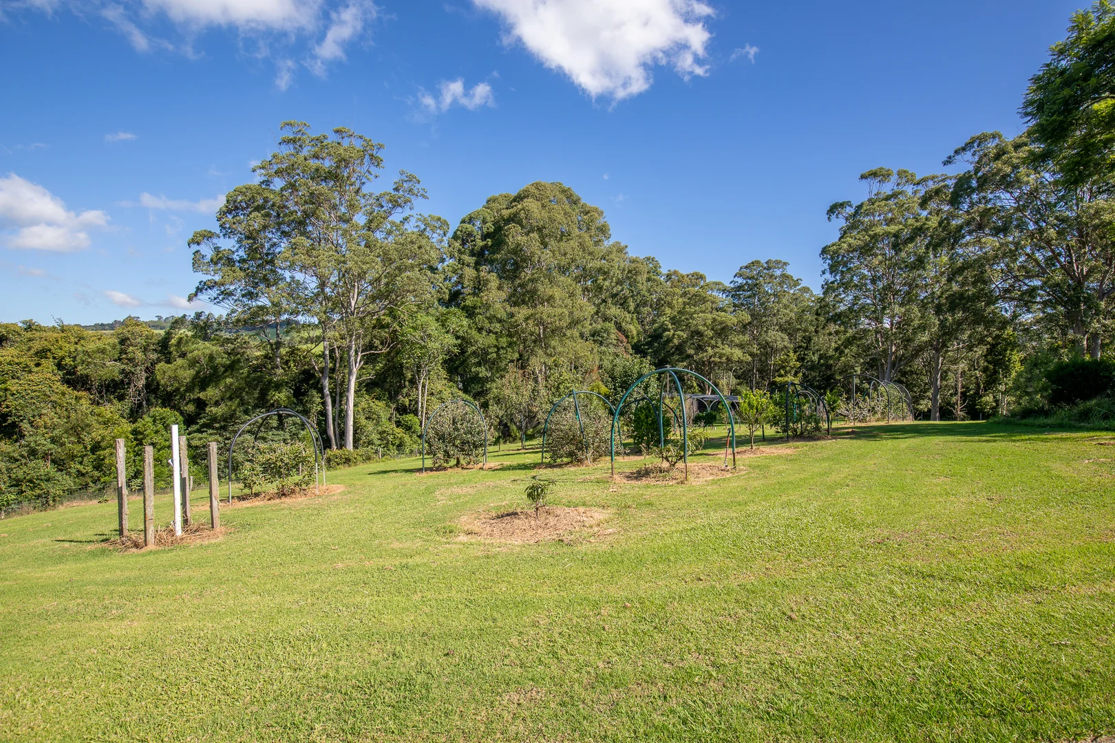 Additional image 11 of 149 Johnsens Road, Dorrigo NSW 2453