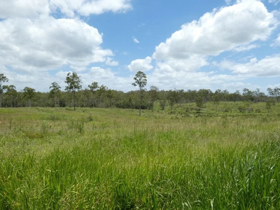 Additional image 14 of Lot 43 Moolyung Road, Waterloo QLD 4673
