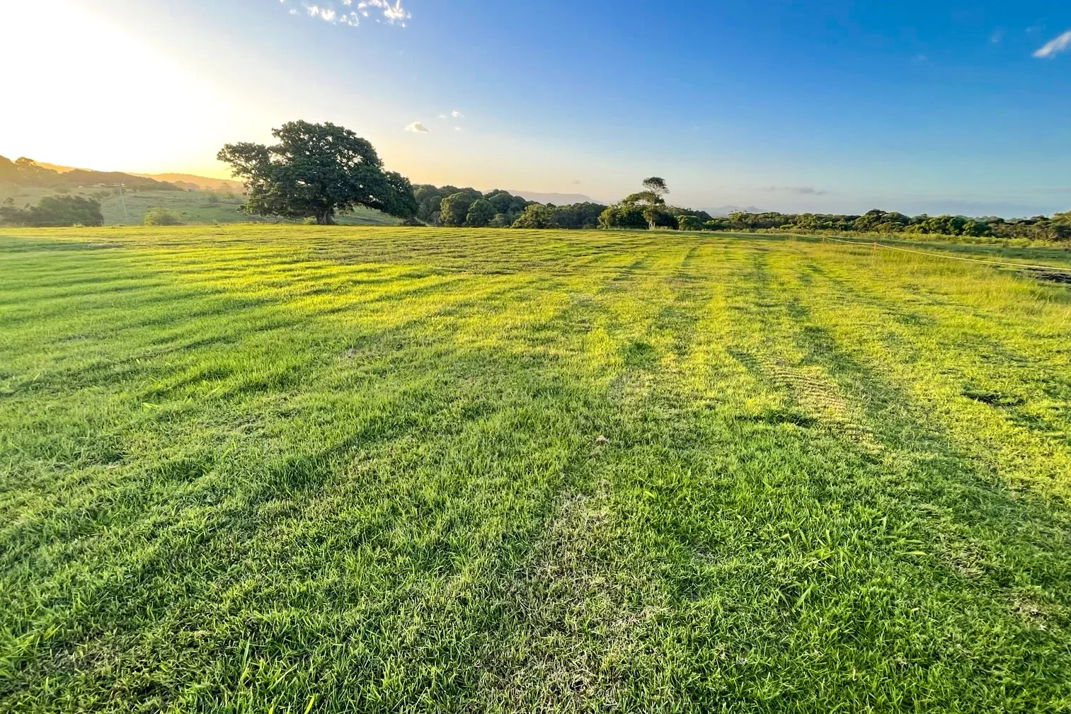 Additional image 14 of 160 Quarry Lane, Ewingsdale NSW 2481