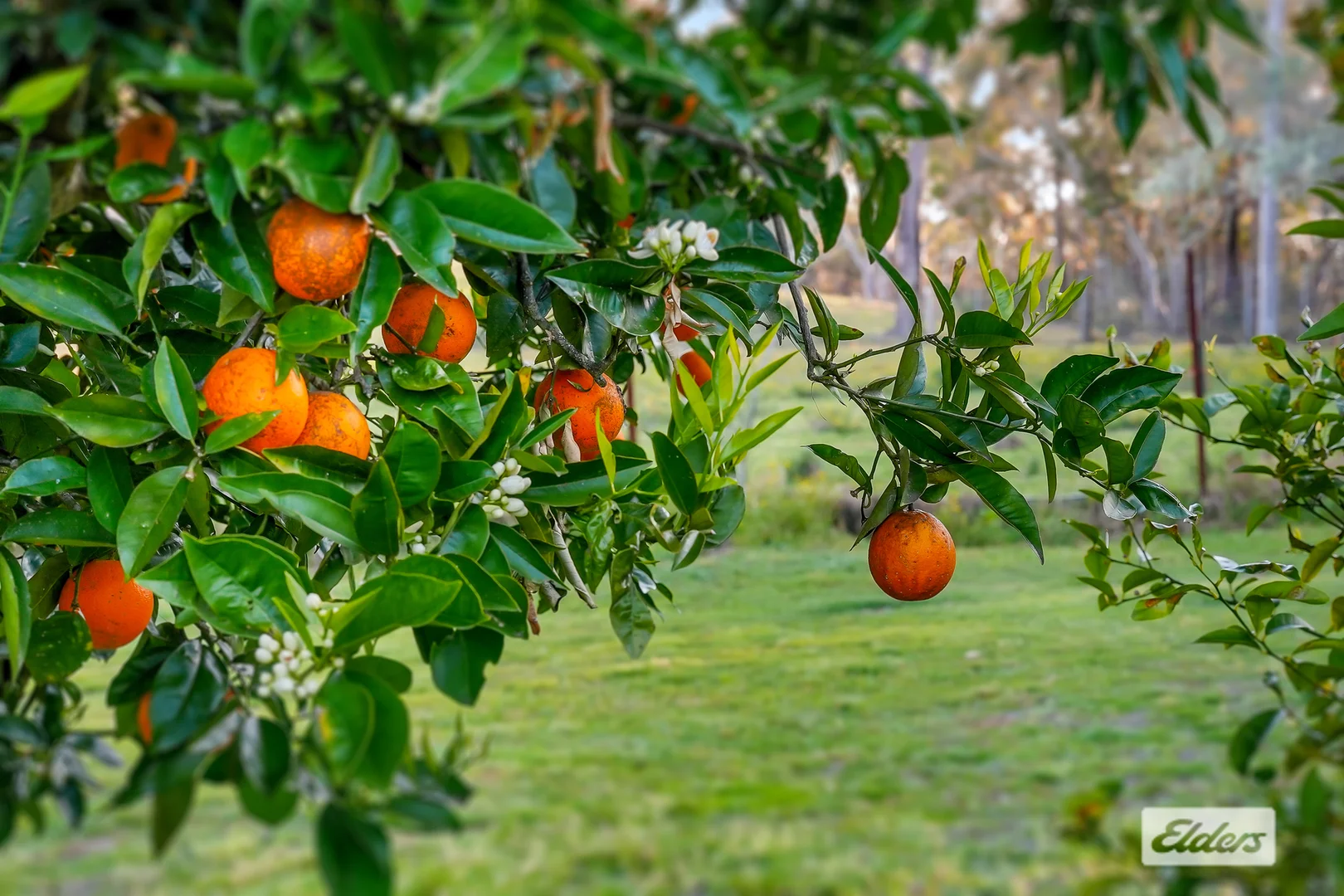 Additional image 27 of 735 Ironbark Road, Mangrove Mountain NSW 2250