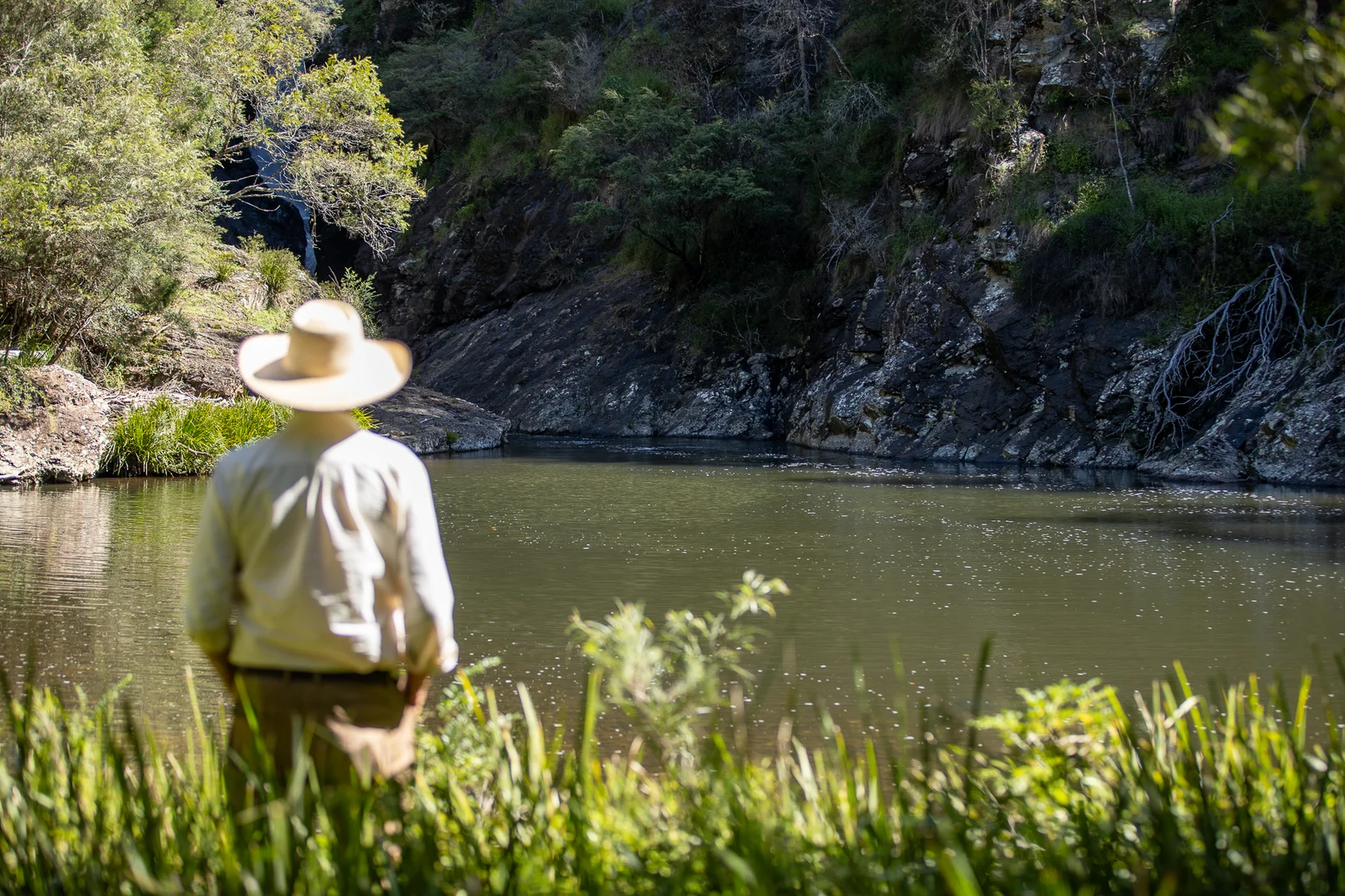 Additional image 25 of 149 Johnsens Road, Dorrigo NSW 2453