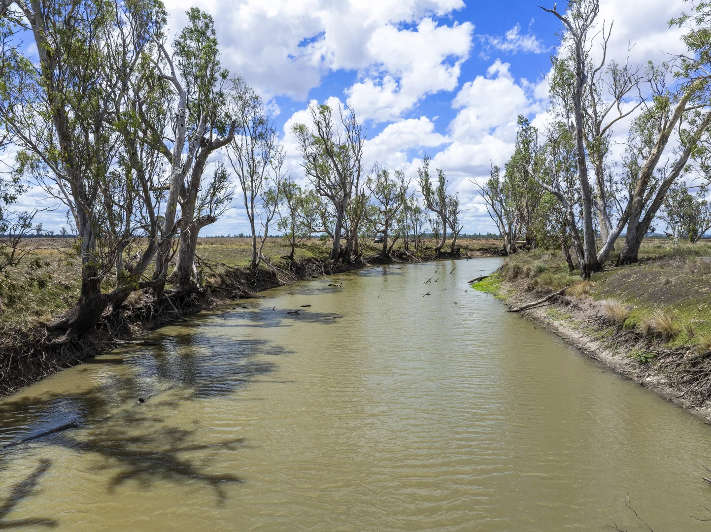Additional image 3 of 1989 Millmerran Leyburn Road, Tummaville QLD 4352