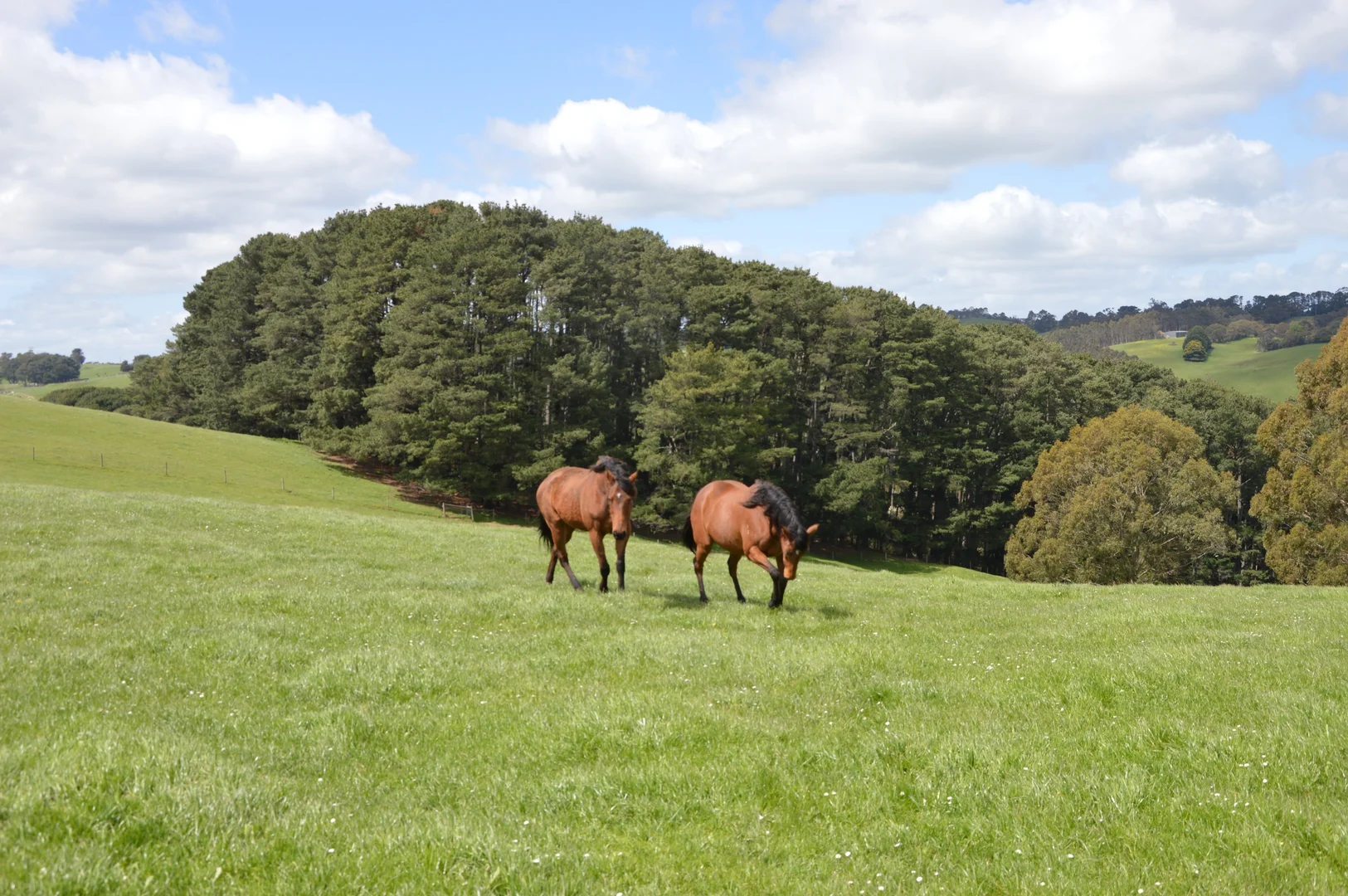 Additional image 27 of 59 Bellview Lane, Korumburra VIC 3950