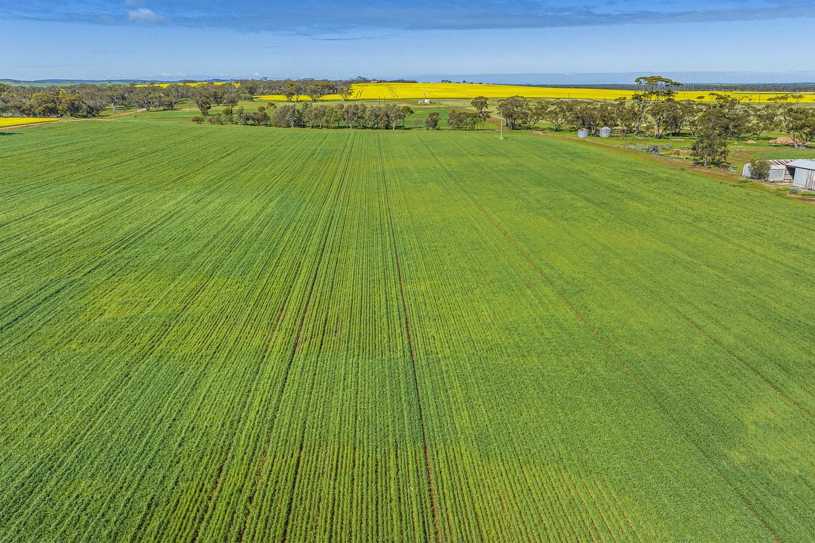 Additional image 7 of 1831 Midlands Road, Moora WA 6510