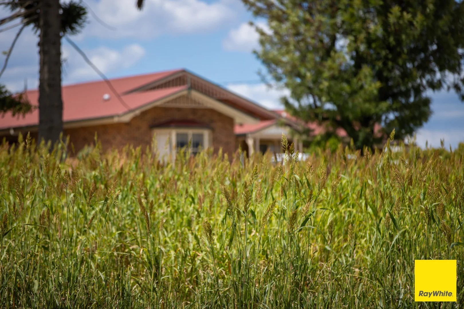 Additional image 24 of 394 Yetman Road, Inverell NSW 2360