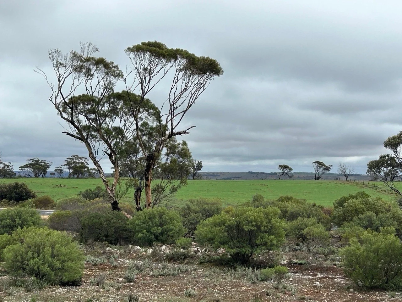 Additional image 12 of 7000 Hunter Road, Bowhill SA 5238