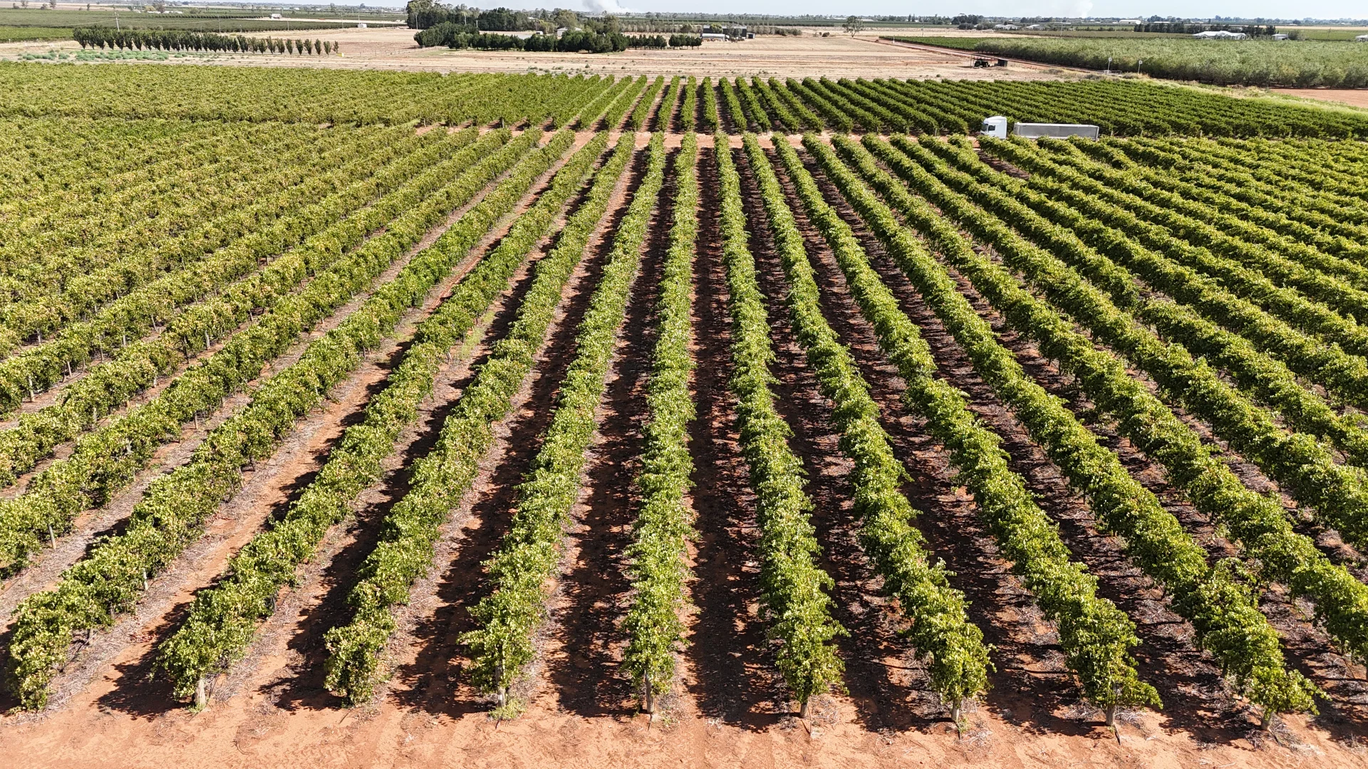 Additional image 4 of 171 Moseley Road, Bilbul NSW 2680