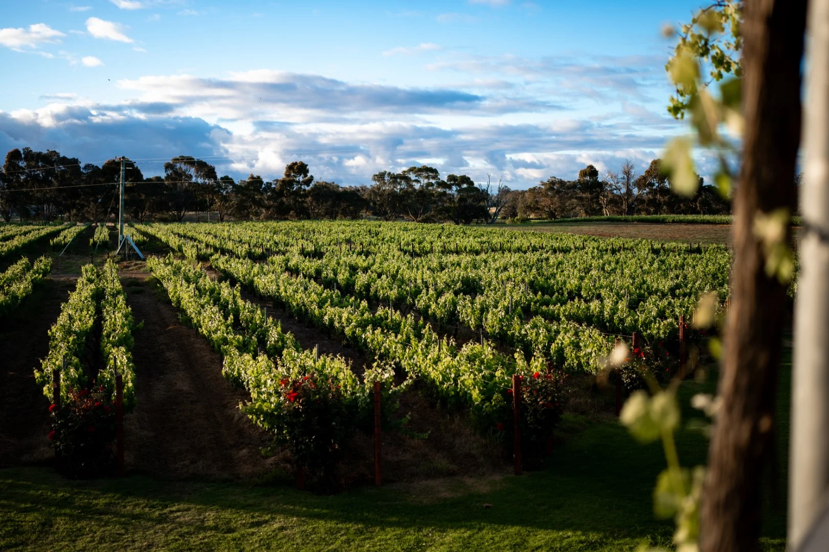 Additional image 10 of 118 Mallokup Road, Capel WA 6271