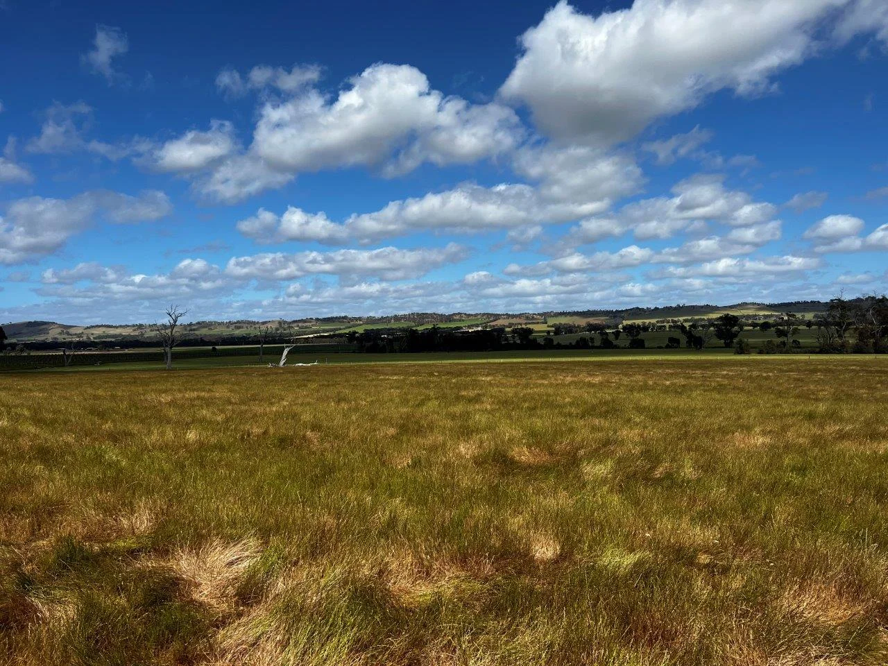 Additional image 18 of CA59D&59C Plain Road, Heathcote VIC 3523