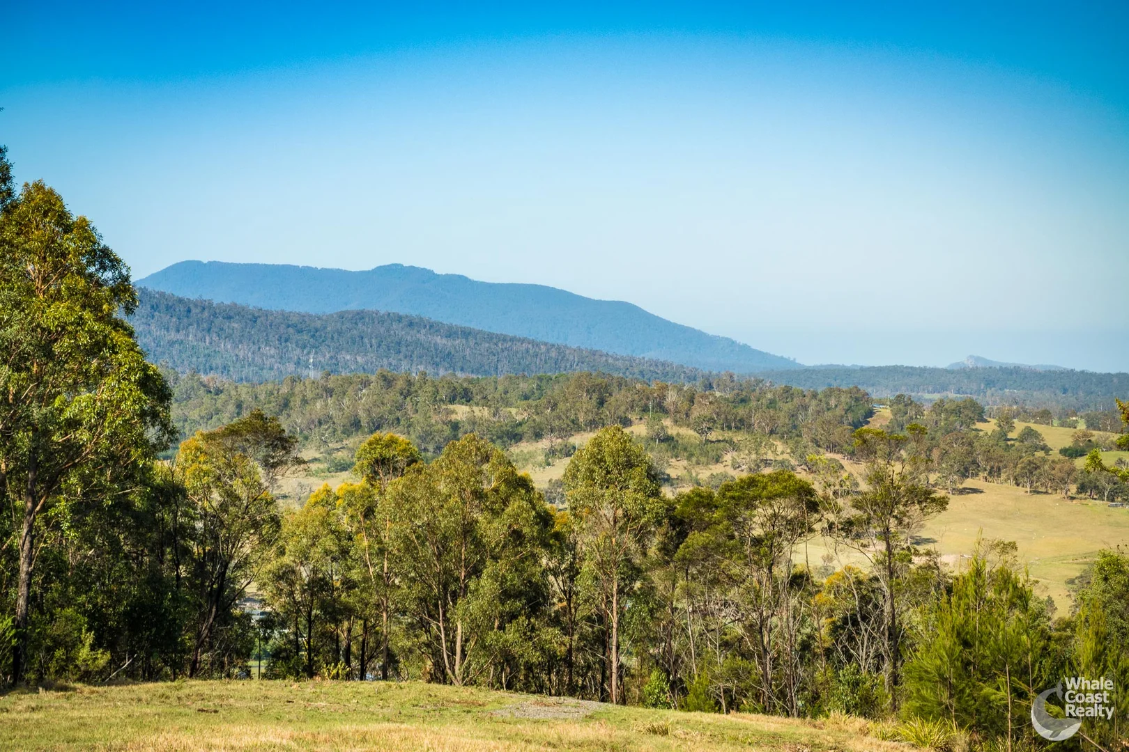 Additional image 7 of Lot 22 Barrabaroo Road, Cobargo NSW 2550