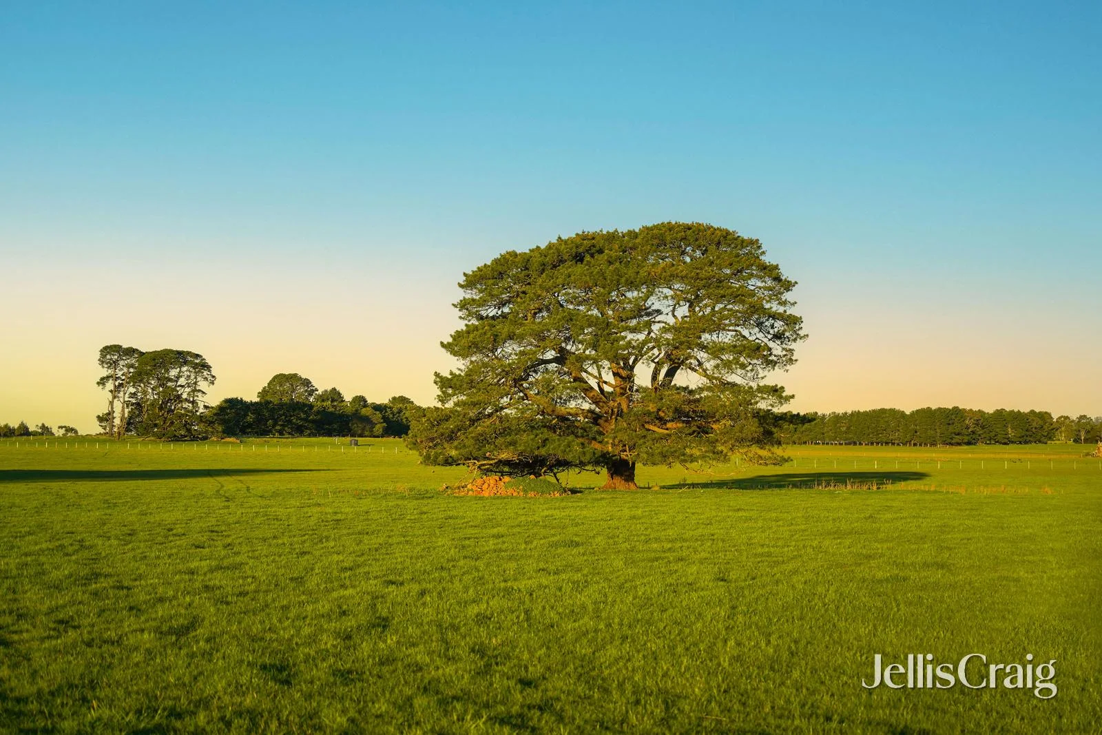 Additional image 14 of Lots 1-4 Rollinsons Road, Greenhill VIC 3444