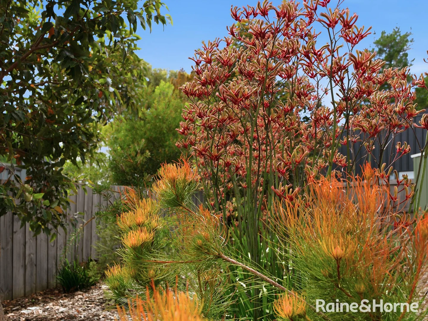 Additional image 23 of 2/4A French Street, Orford TAS 7190