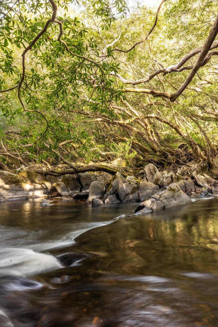 Additional image 31 of 56 Carisbrook Road, Morton NSW 2538