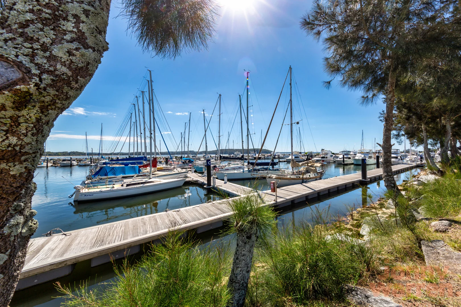 Additional image 17 of 12 Correa Place, Catalina NSW 2536