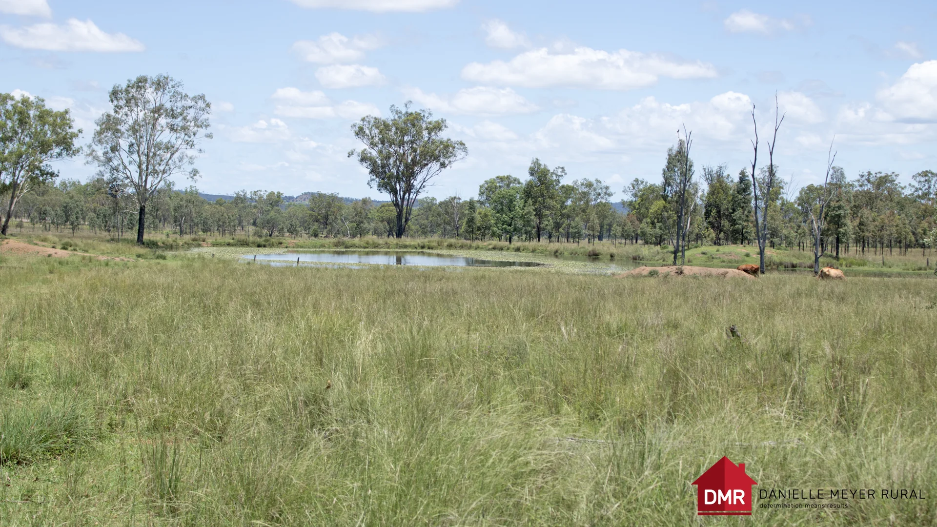 Additional image 50 of 8 Screening Plant Road, Cynthia QLD 4627