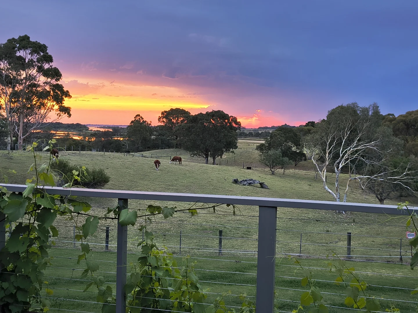 Additional image 34 of 305 Punt Rd, Metung VIC 3904