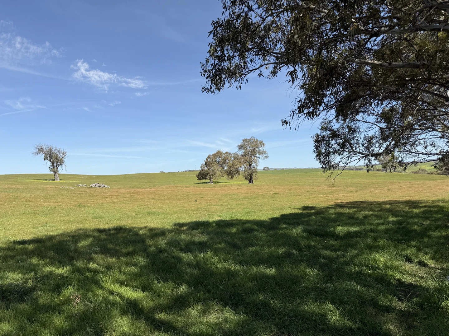 Additional image 5 of Lot 115 Mcgormans Road, Tungkillo SA 5236