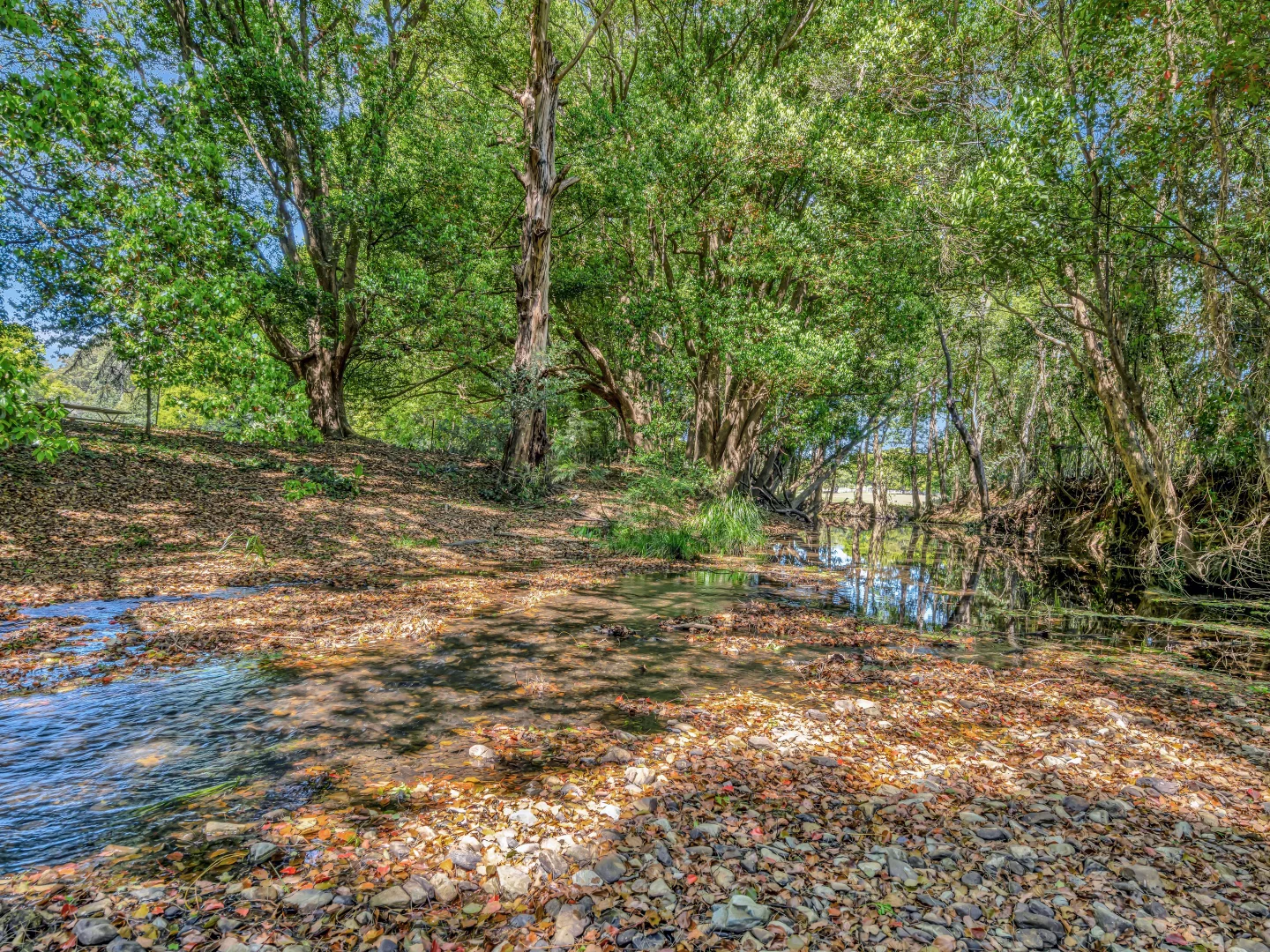 Additional image 15 of 923 Orara Way, Nana Glen NSW 2450