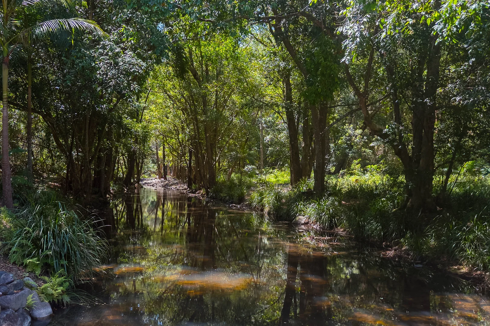 Additional image 26 of 26 Krakatinni Close, Cedar Creek QLD 4520