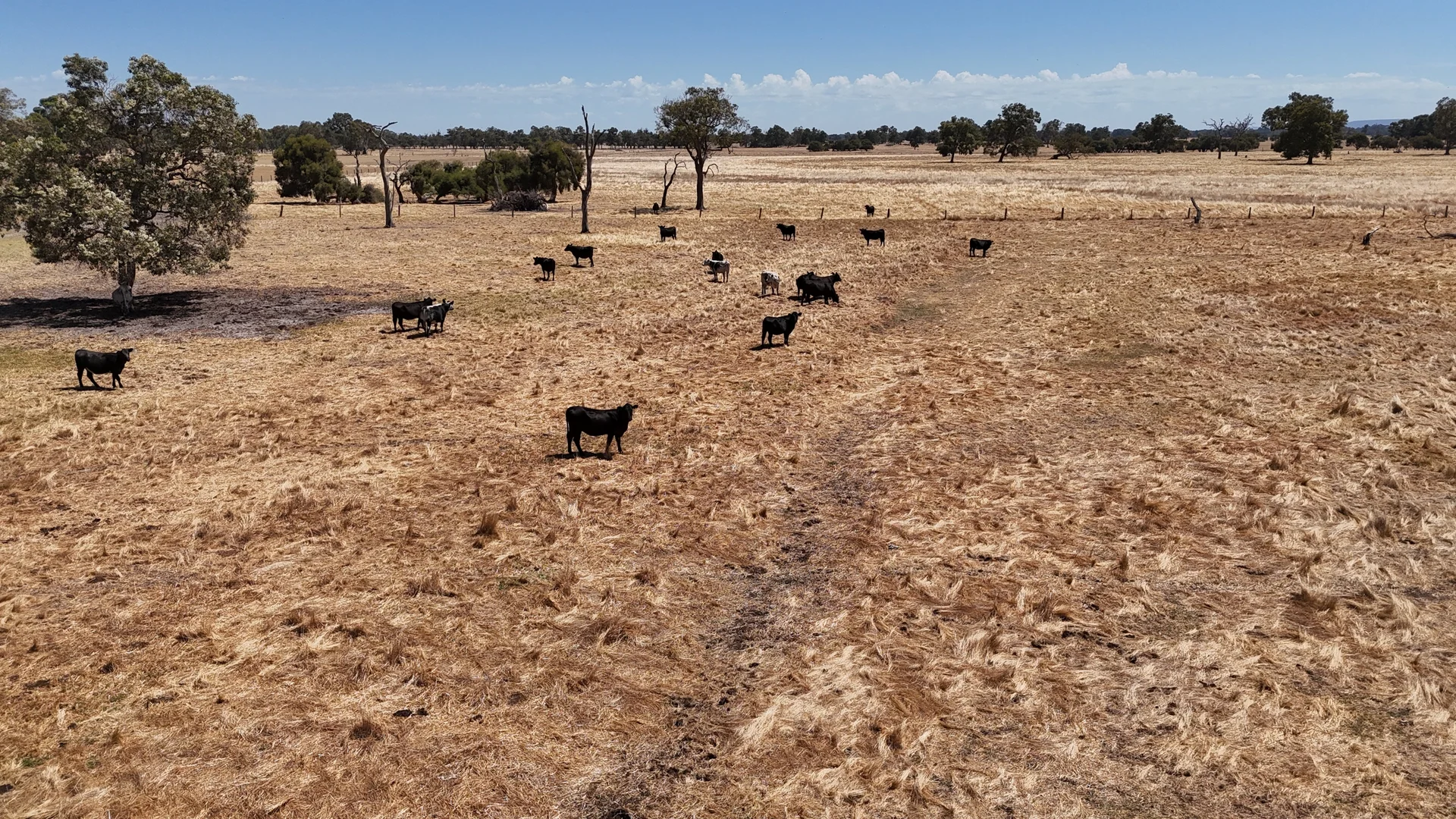 Additional image 9 of Lot 9 Coronation Road, Waroona WA 6215