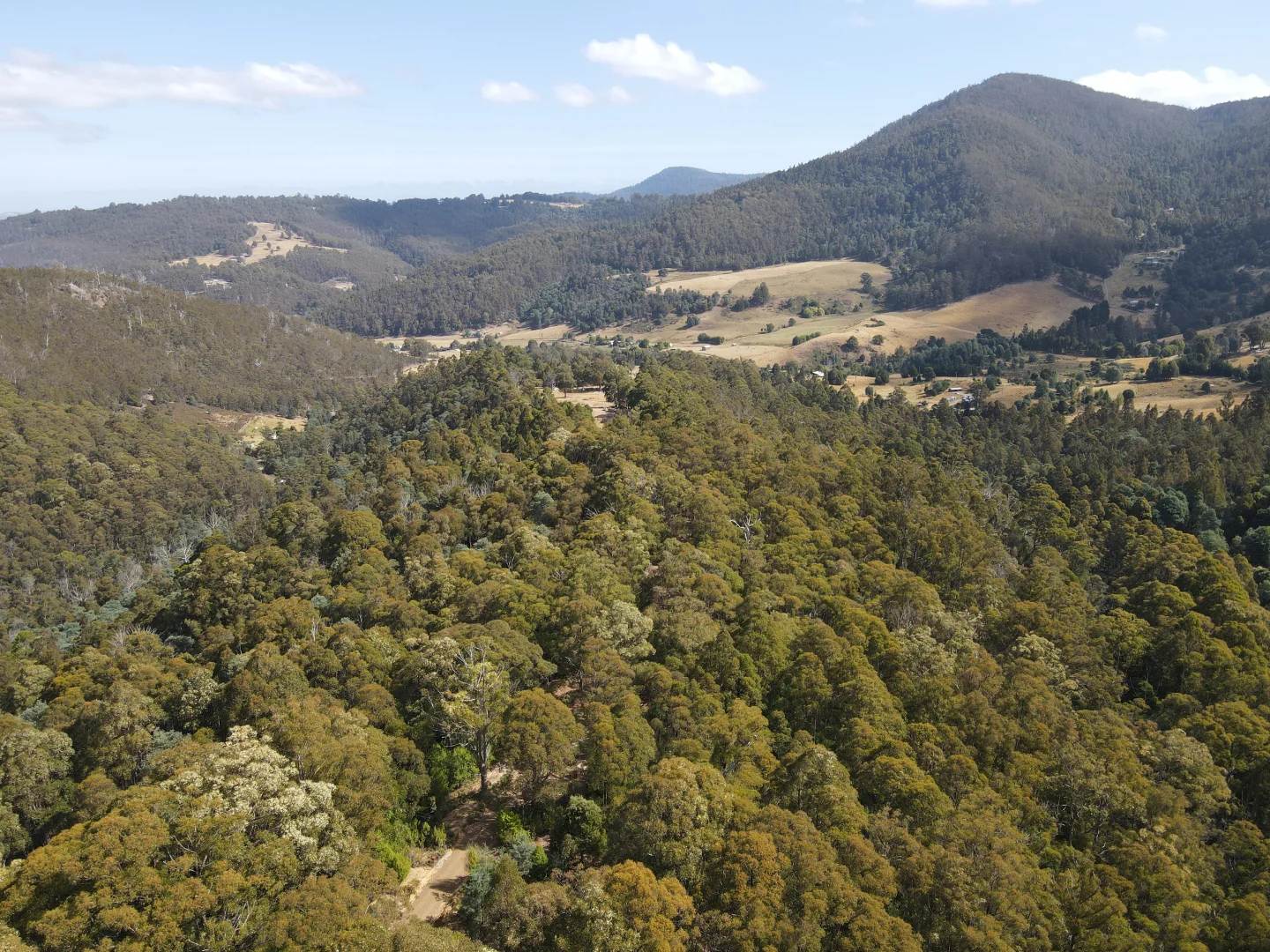 Additional image 17 of Lot 5 Liddells Road, Crabtree TAS 7109