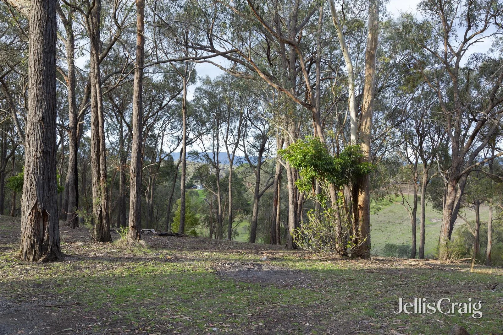 Additional image 21 of 20 Kerrs Road, St Andrews VIC 3761