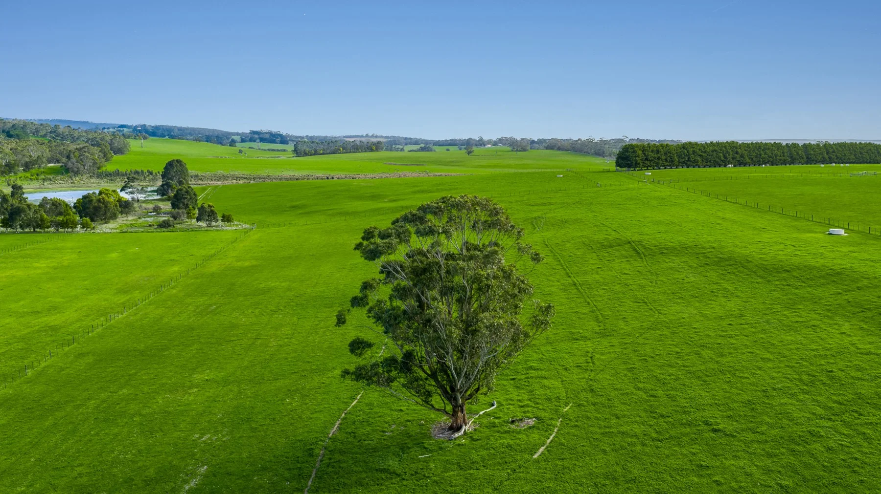Additional image 8 of 60 Pennyroyal Valley Road, Deans Marsh VIC 3235