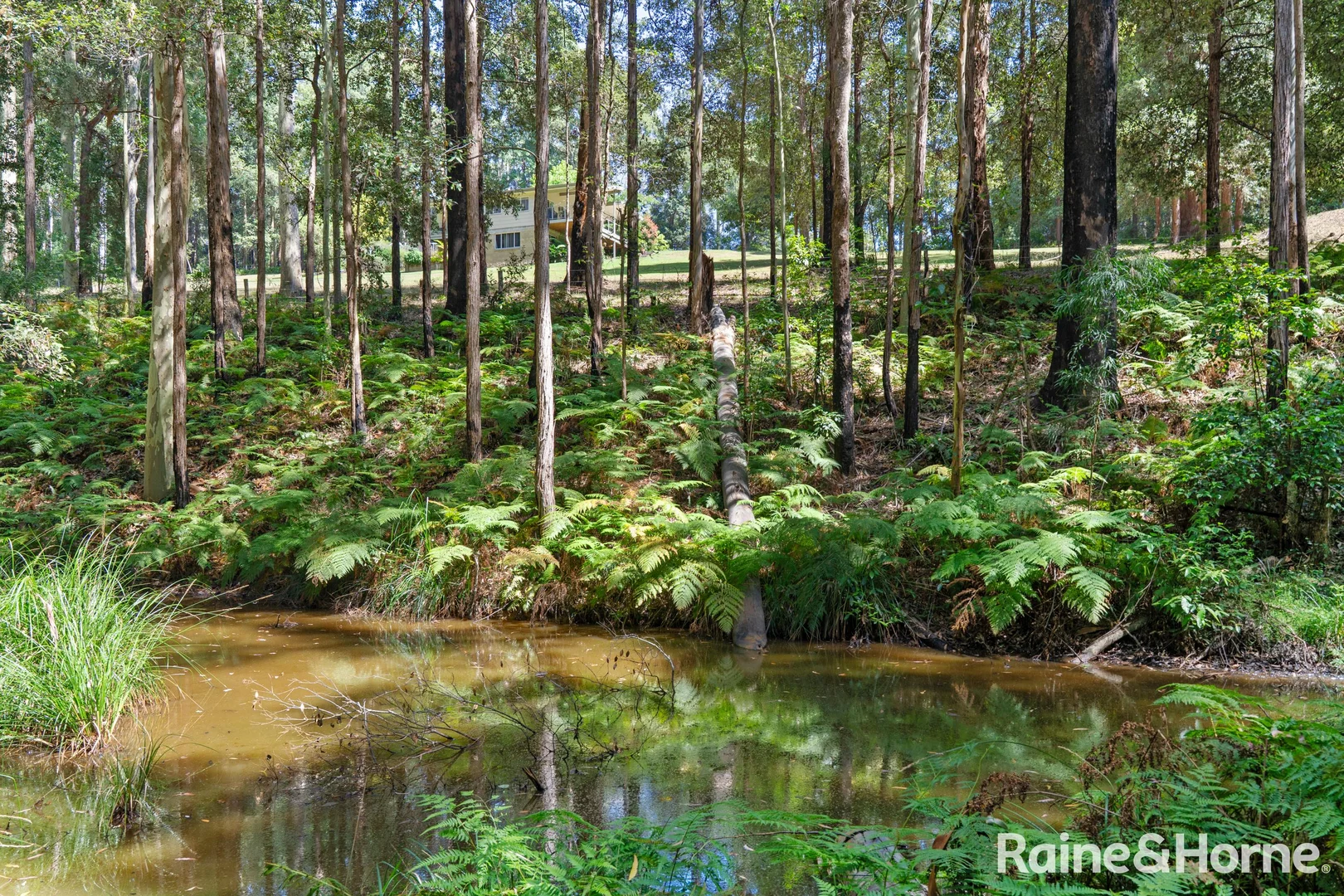 Additional image 31 of 63 Old Princes Highway, Termeil NSW 2539