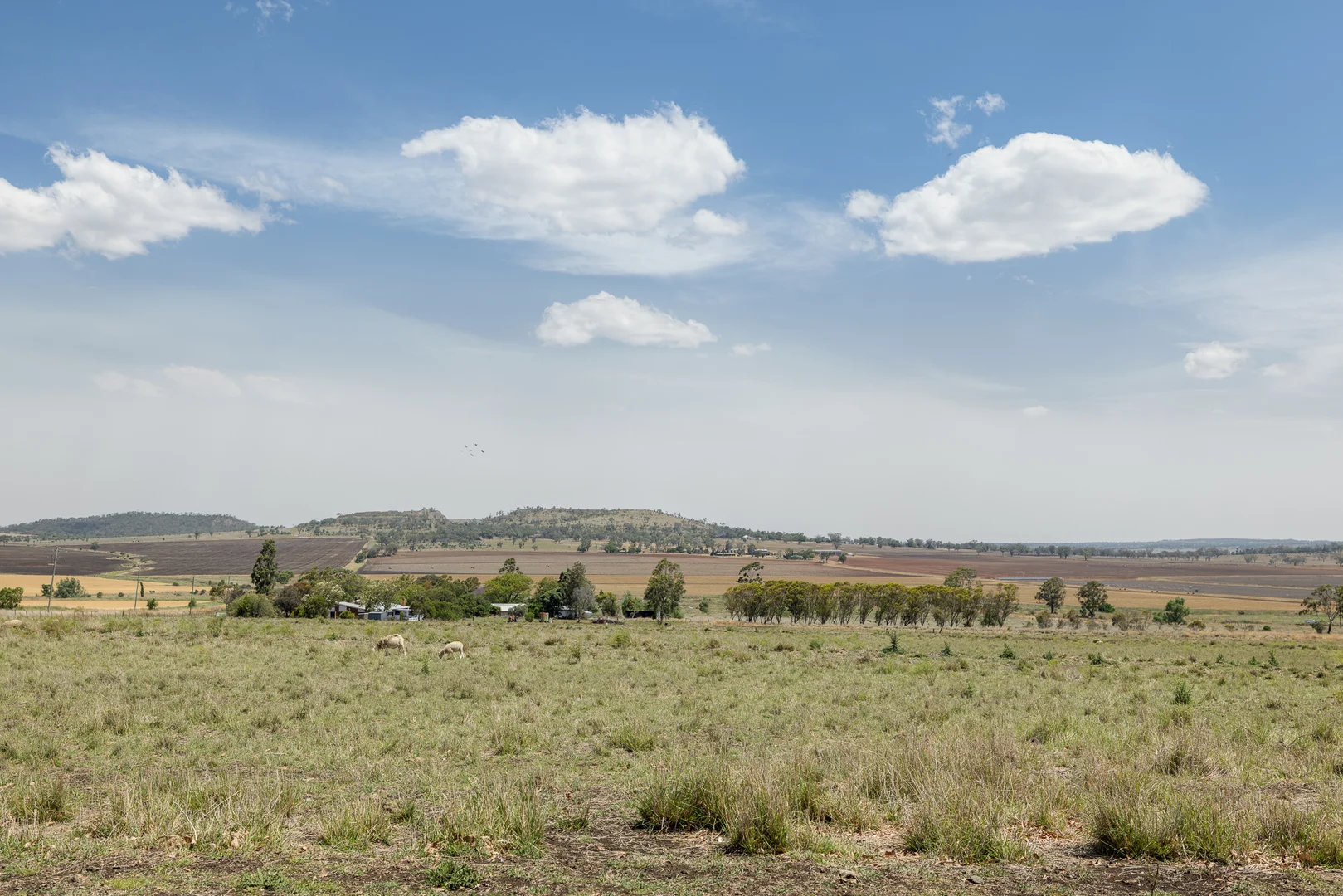 Additional image 18 of 27 Jannusch Road, Gowrie Mountain QLD 4350