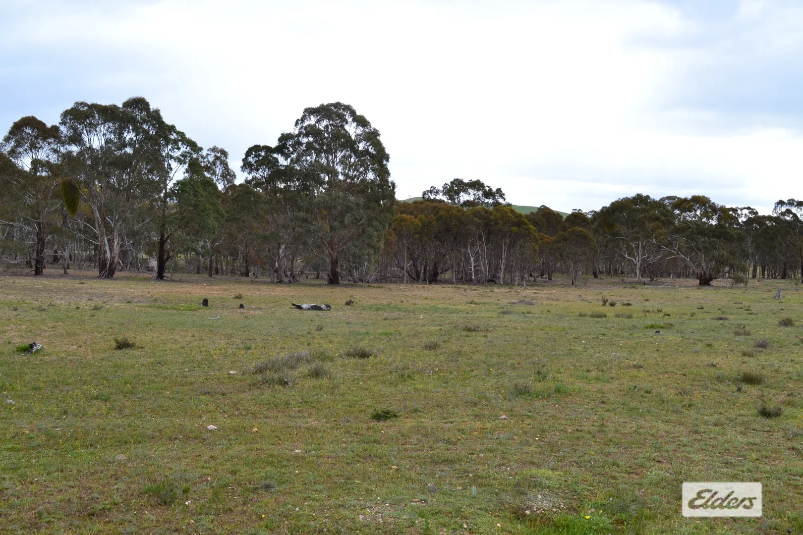 Additional image 20 of 552 Spring Flat Road, Crowlands VIC 3377