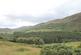 Additional image 11 of 31-33 Blandy, Tongue, IV27