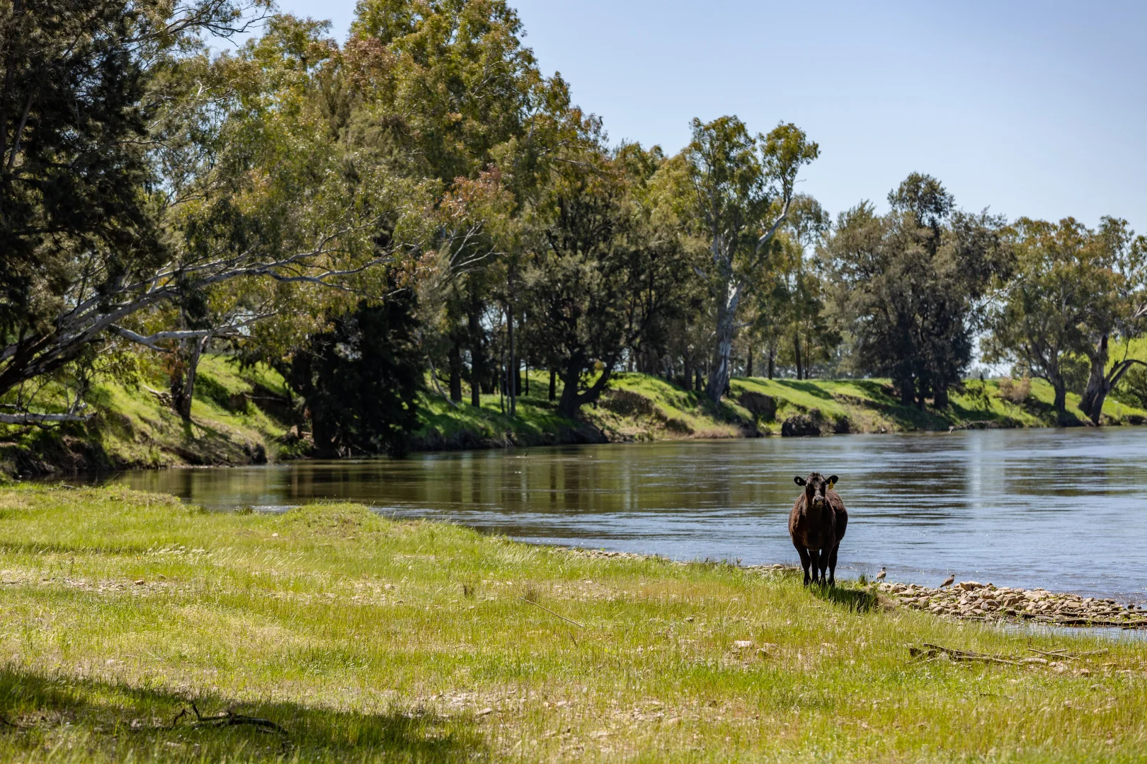 Additional image 17 of 44 Dodd Street, Gundagai NSW 2722