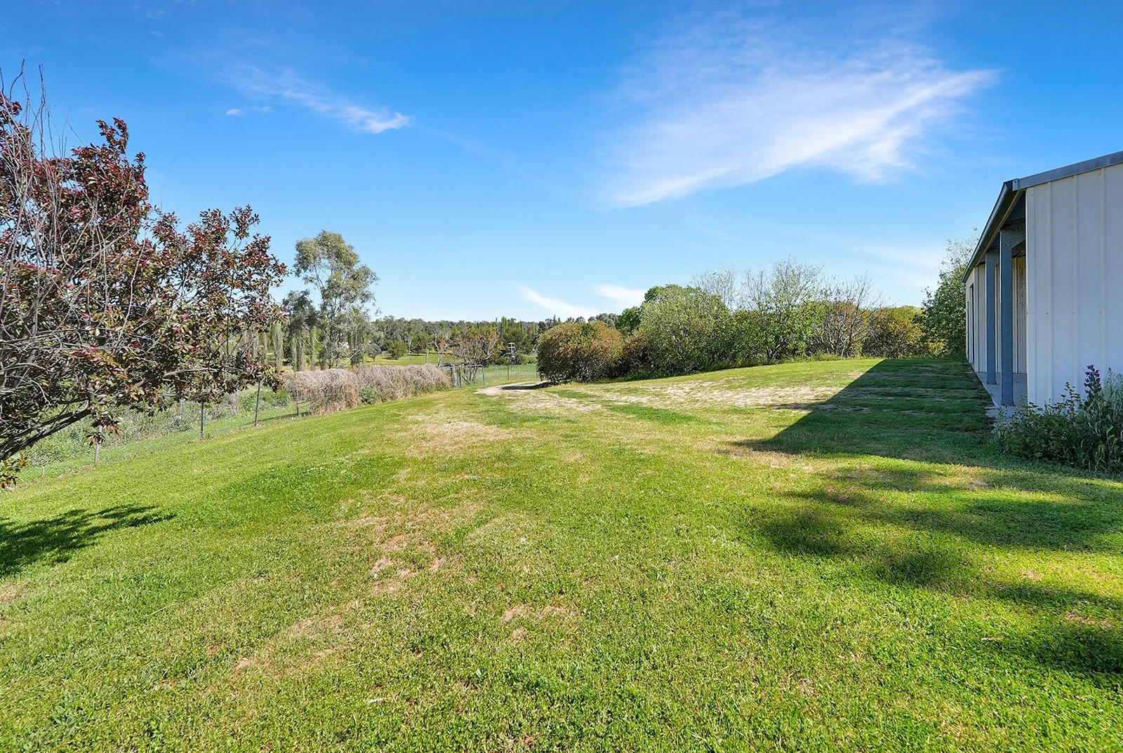 Additional image 34 of Cudal NSW 2864