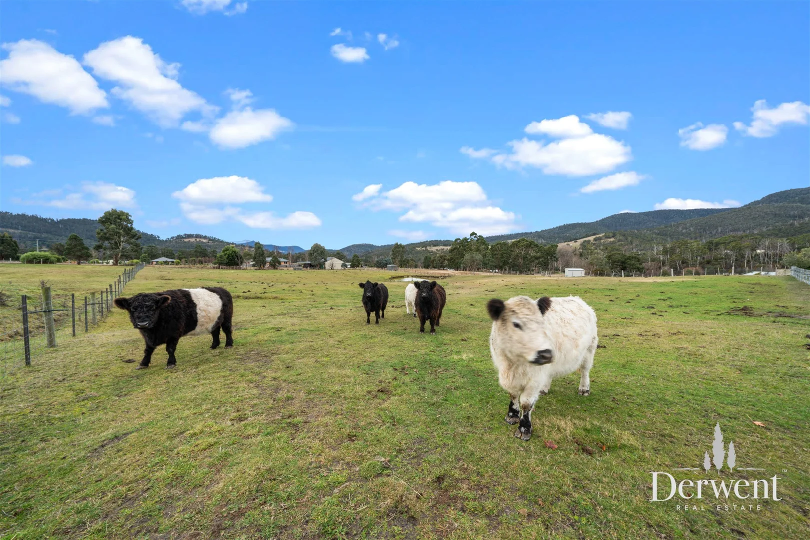 Additional image 38 of 30 Gaul Lane, Lachlan TAS 7140