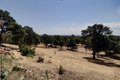 Additional image 94 of 21774 Oak Meadow Rd, Palo Cedro, CA, 96073