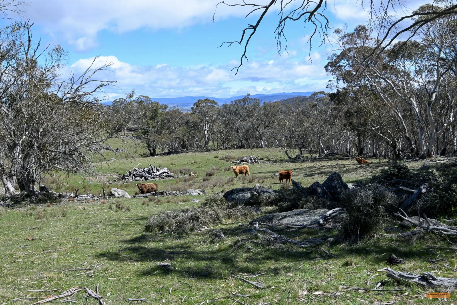 Additional image 36 of "King's Ridge" 698 Avonside Road, Avonside NSW 2628