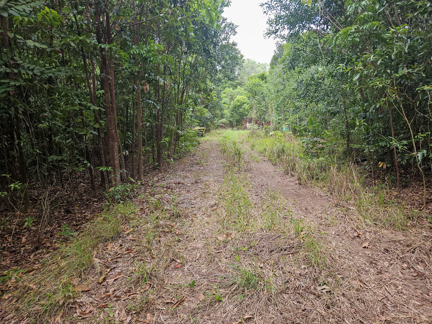 Additional image 9 of 2401 Rossville Bloomfield Road, Bloomfield QLD 4895