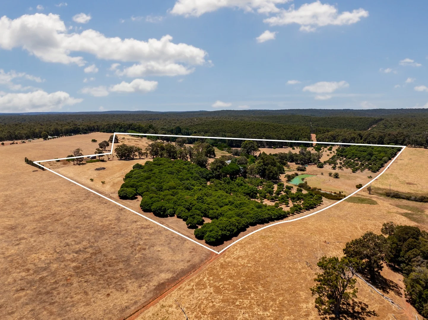 106 McKittrick Road, Carlotta WA 6275