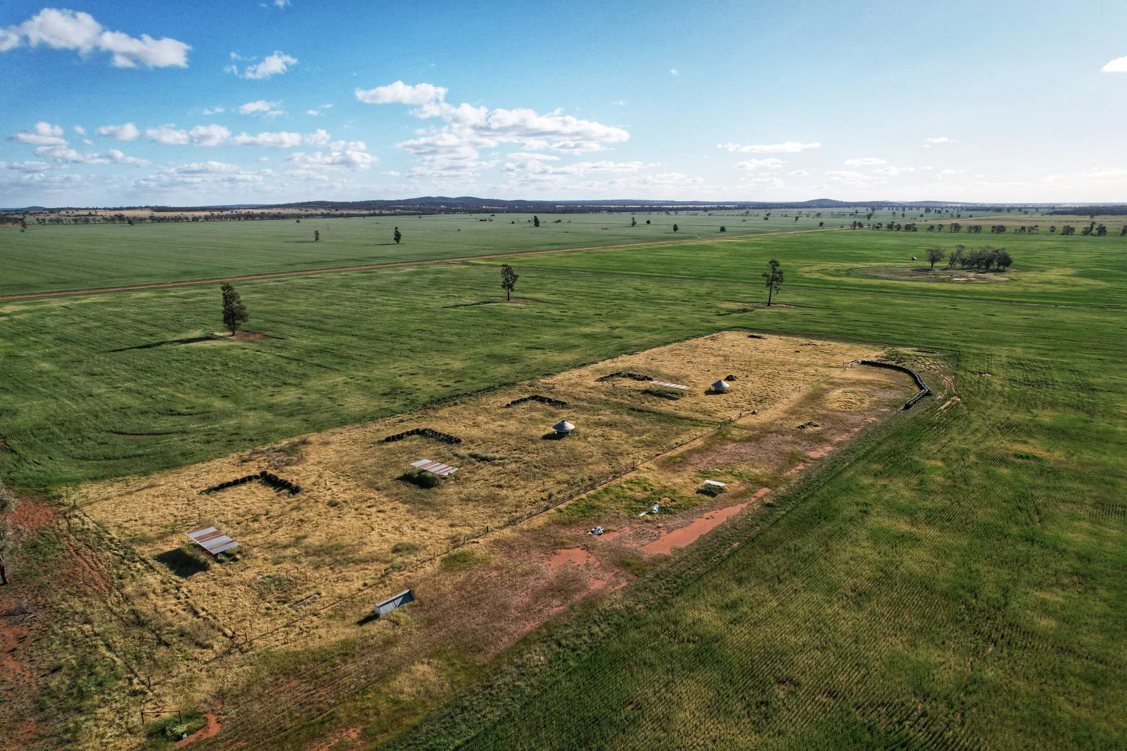 Additional image 6 of 'Laurel Hills' 81 Salters Road, Condobolin NSW 2877