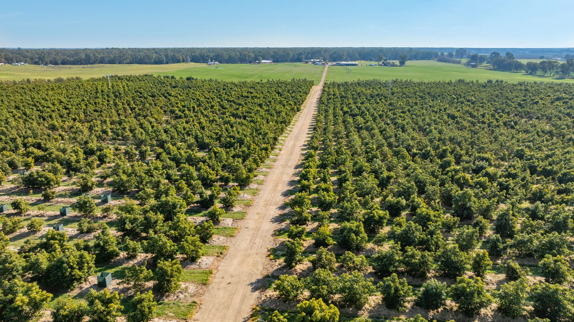 Additional image 10 of Sepelts Road, Barooga NSW 3644